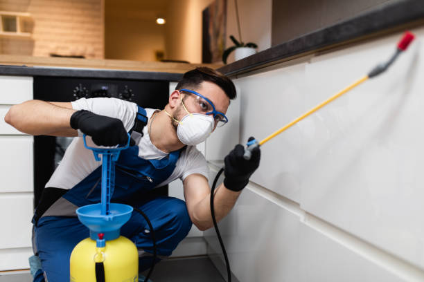 Best Affordable Pest Control Services  in Battlefield, MO