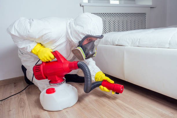 Best Flea Control Services  in Battlefield, MO