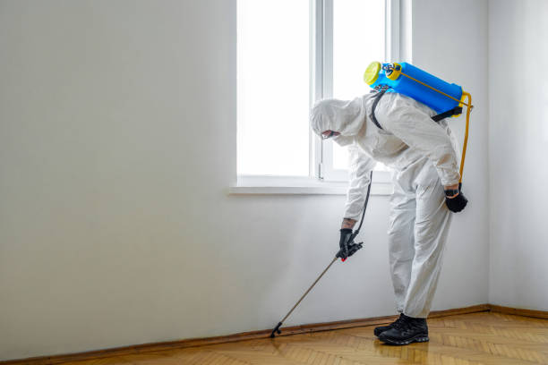Best Commercial Pest Control Services  in Battlefield, MO
