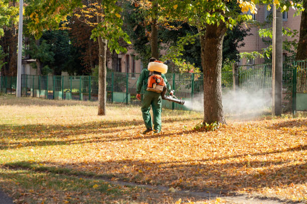 Best Local Pest Control Services  in Battlefield, MO