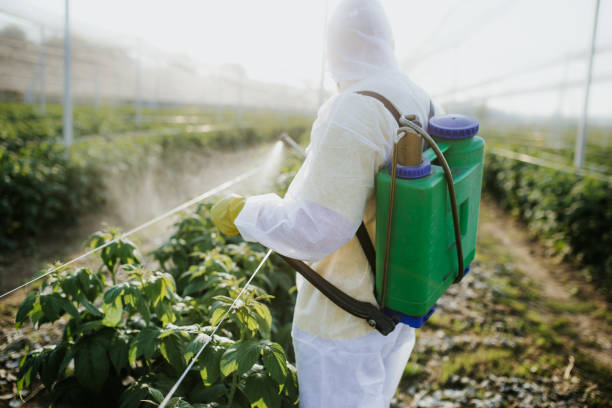 Best Residential Pest Control  in Battlefield, MO